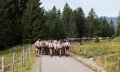 Auf dem Weg ins Tal © Tourismus Hörnerdörfer, F. Kjer
