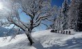 Planet B. Skischule Balderschwang © Planet B.