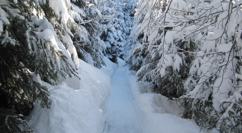Verschneiter Winterwanderweg durch den Sagenwald