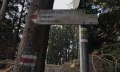 Wegweiser Richtung Sonderdorfer Kreuz
