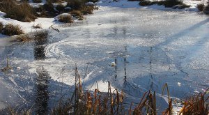 Eislandschaft im Werdensteiner Moos