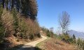 Forstweg zur Buchloer Hütte