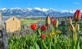 Garten Aussicht © Landhotel Alphorn