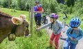 Kinder und Eltern mit Kühen am Weidezaun nach einer Radtour. © Alexander Rochau