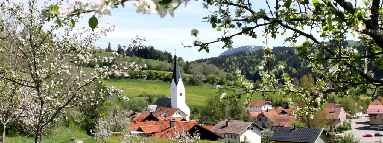 Missen im Frühling © Gerwig Löffelholz