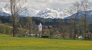 Frühling in Wildpoldsried © Gudrun Schneider