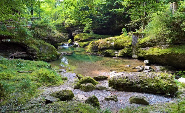 Tobel im Oberallgäu 