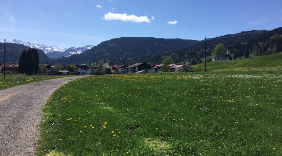 Kapelle Bolsterlang mit Löwenzahnwiese