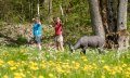 Fortgeschrittenenkurs Bogenschießen in Bolsterlang © Tourismus Hörnerdörfer, ProVisionMedia
