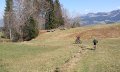 Feldweg zum Bergblickweg
