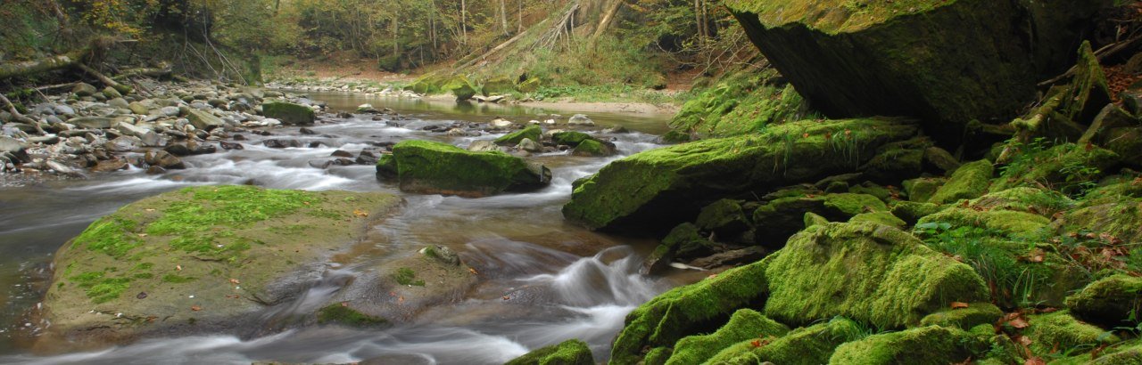 im Naturpark Nagelfluhkette © Naturpark Nagelfluhkette