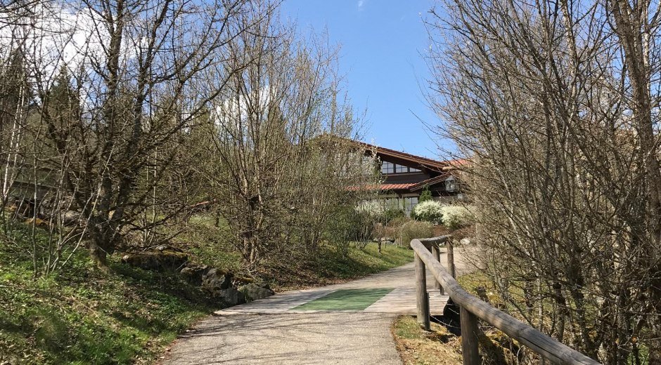 Achweg zum Seehaus © Tourismus Hörnerdörfer, L. Renn
