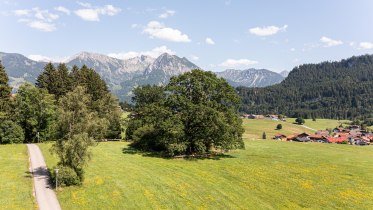 Waldfest auf der Spöck in Obermaiselstein © Tourismus Hörnerdörfer