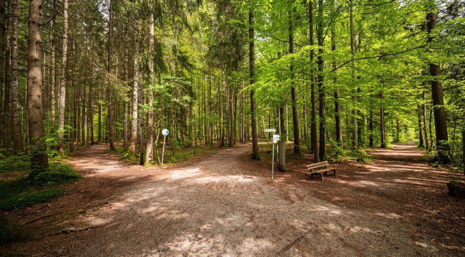 Ruhe und Genuss im Eichhörnchenwald © Tourismus Hörnerdörfer GmbH