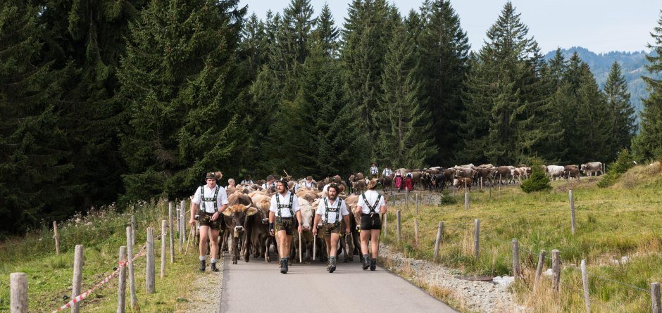 Auf dem Weg ins Tal © Tourismus Hörnerdörfer, F. Kjer