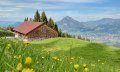 Horn Alpe am Ofterschwanger Horn © Tourismus Hörnerdörfer GmbH