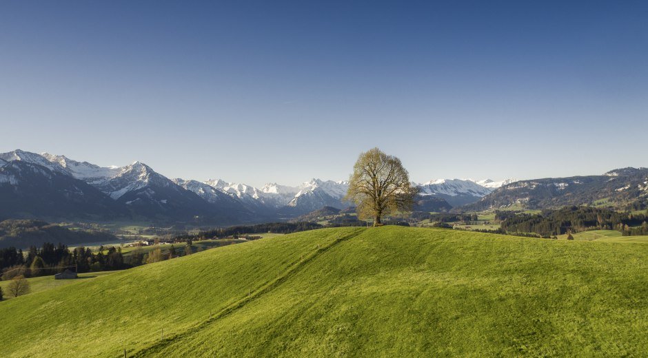 Wittelsbacher Höhe im Frühjahr