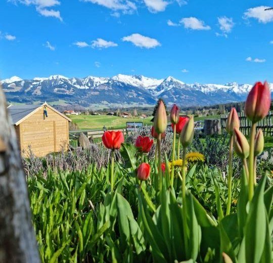 Garten Aussicht © Landhotel Alphorn