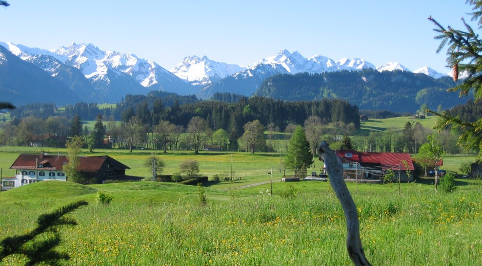 Blick von Dietrichs auf den weißen Allgäuer Hauptkamm © Tourismus Hörnerdörfer