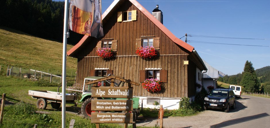 Alpwanderung zur Alpe Schattwald © Tourismus Hörnerdörfer