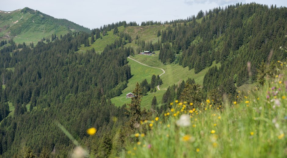 Höhen-Wanderweg zwischen Riedbergerhorn uns Bergstation Hörnerbahn © Tourismus Hörnerdörfer, F. Kjer