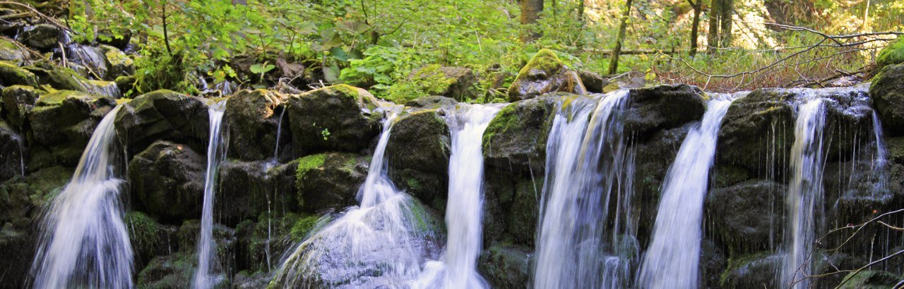 Kleiner idyllischer Wasserfall eine oberallgäuer Baches © Dominic Ultes