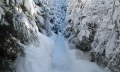 Verschneiter Winterwanderweg durch den Sagenwald © Tourismus Hörnerdörfer, MA