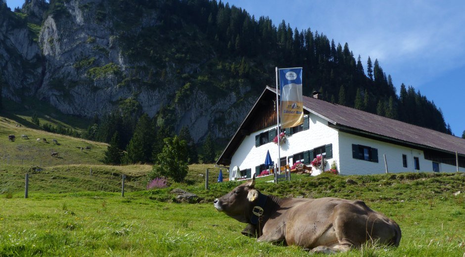 Alpe Schönberg © Tourismus Hörnerdörfer, Eberle T.