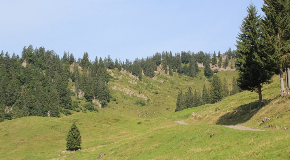 Weg richtung Alpe Spicherhalde