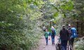 Wanderung für Familien © Tourismus Hörnerdörfer