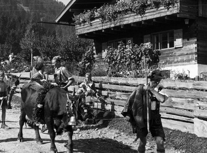 Der Viehscheid hat in Bolsterlang eine lange Tradition © Ch. Feldmann