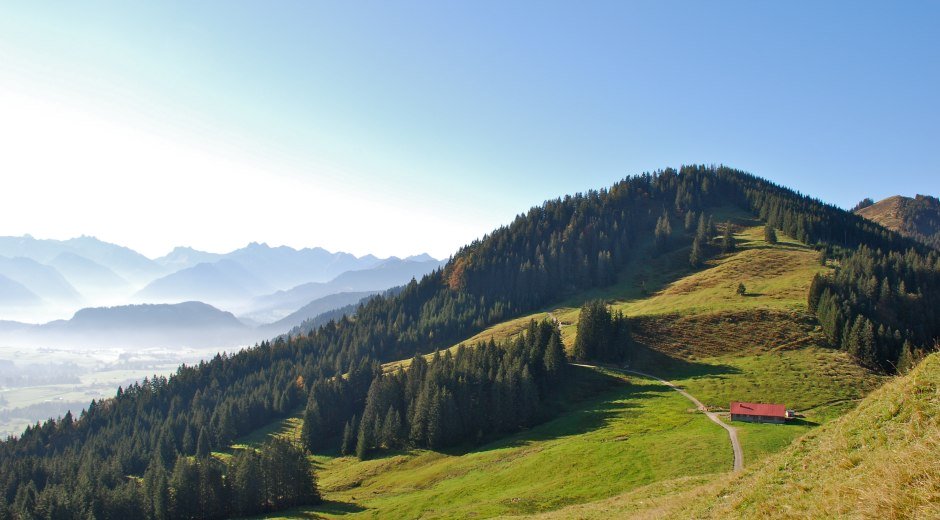 Blick von Ofterschwanger Horn auf Fahnengehren Alpe und Sigiswanger Horn-Ofterschwang © Tourismus Hörnerdörfer, MA