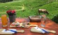 Alpe Schönberg Brotzeit - Obermaiselstein © Tourismus Hörnerdörfer, Eberle T.