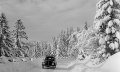 Käfer auf der Jochstraße 1951 © Lala Aufsberg, Archiv Heimatbund Allgäu e.V.
