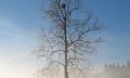 Winterlandschaft im Allgäu © Tourismus Hörnerdörfer, M. Redecker