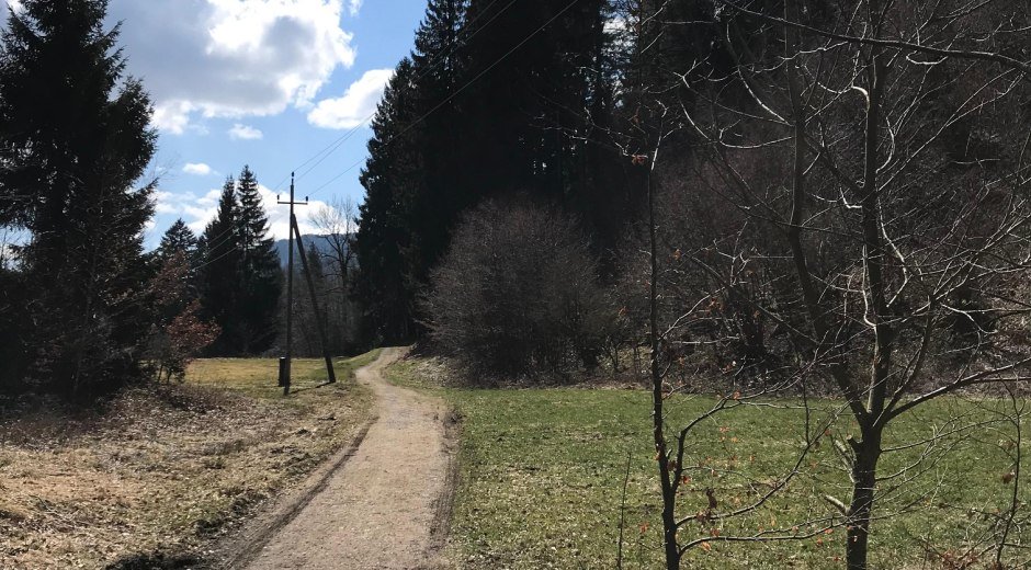 Feldweg zurück nach Bolsterlang