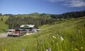 Grüne Wiesen und umgeben von grasenden Kühen © Berghütte Grasgehren