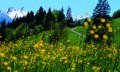 Wanderweg von Maderhalm nach Fischen © Tourismus Hörnerdörfer