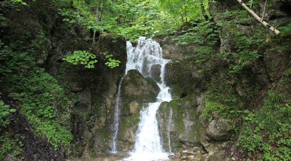 Sägebach-Tobel