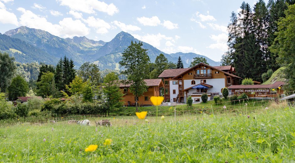Außenansicht Hotel-Restaurant Forellenbach © Hotel-Restaurant Forellenbach