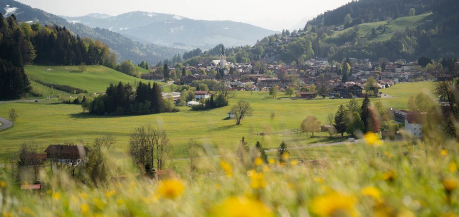 Wildkräuter-Spaziergang © Oberstaufen Tourismus / Nico Bogenreuther