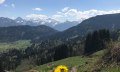 Aussicht auf das Allgäuer Dreigestirn "Trettach, Mädelegabel und Hochfrottspitze" © Tourismus Hörnerdörfer