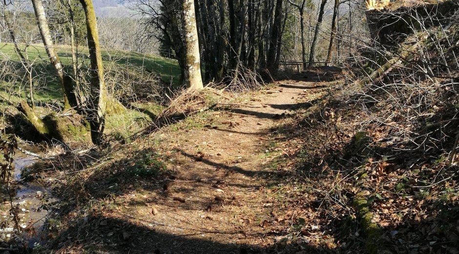 Feldweg am Bachlauf © Tourismus Hörnerdörfer, S. Kjer