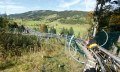 Alpsee Coaster in Immenstadt © Alpsee-Bergwelt Immenstadt