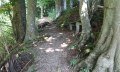 Tipp: Waldweg Richtung Malerwinkel © Tourismus Hörnerdörfer GmbH