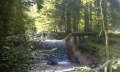 Entlang des Tobelweges © Tourismus Hörnerdörfer GmbH