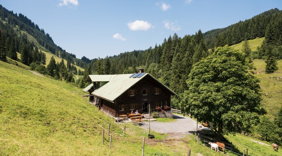 Die Herzbergalpe mit Sonnenterrasse © Tourismus Hörnerdörfer, F. Kjer