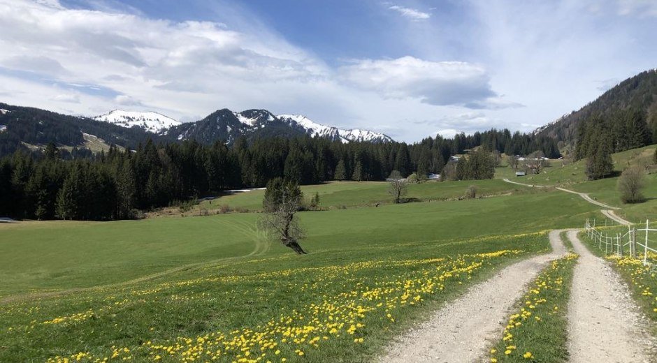 Mountainbike Kurse & Touren mit HörnerLiebe