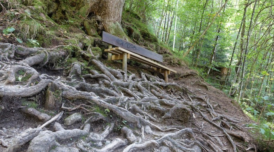 Ruhebank im Wald