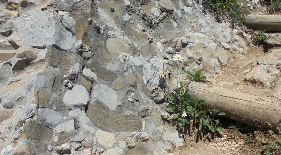 Eine Nahaufnahme des "Herrgottsbetons", einem einzigartigen Nagelfluhgestein, das die geologische Vielfalt der Region widerspiegelt. © Tourismus Hörnerdörfer, H. Besler